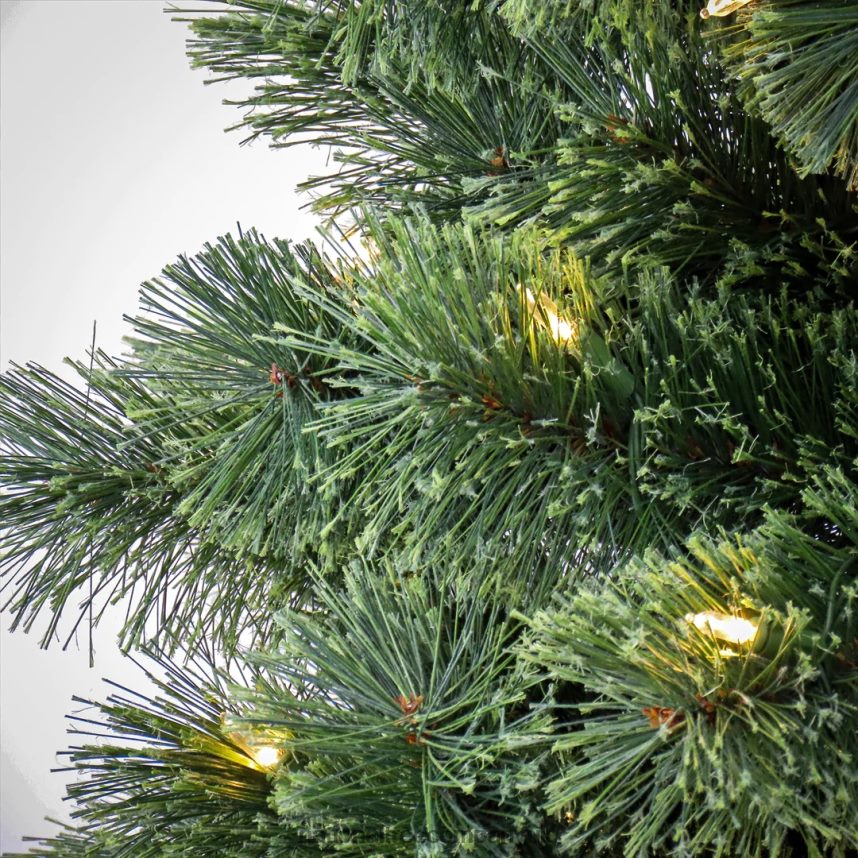 Trees | National Tree Company 75 ft Pre-Lit Pilchuck Pine Tree with LED Lights F2L4F195